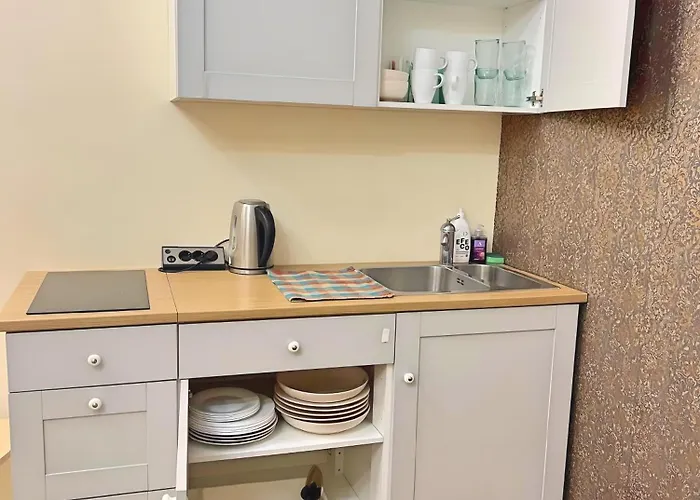 Apartman Elephant House - Old Town Tartu